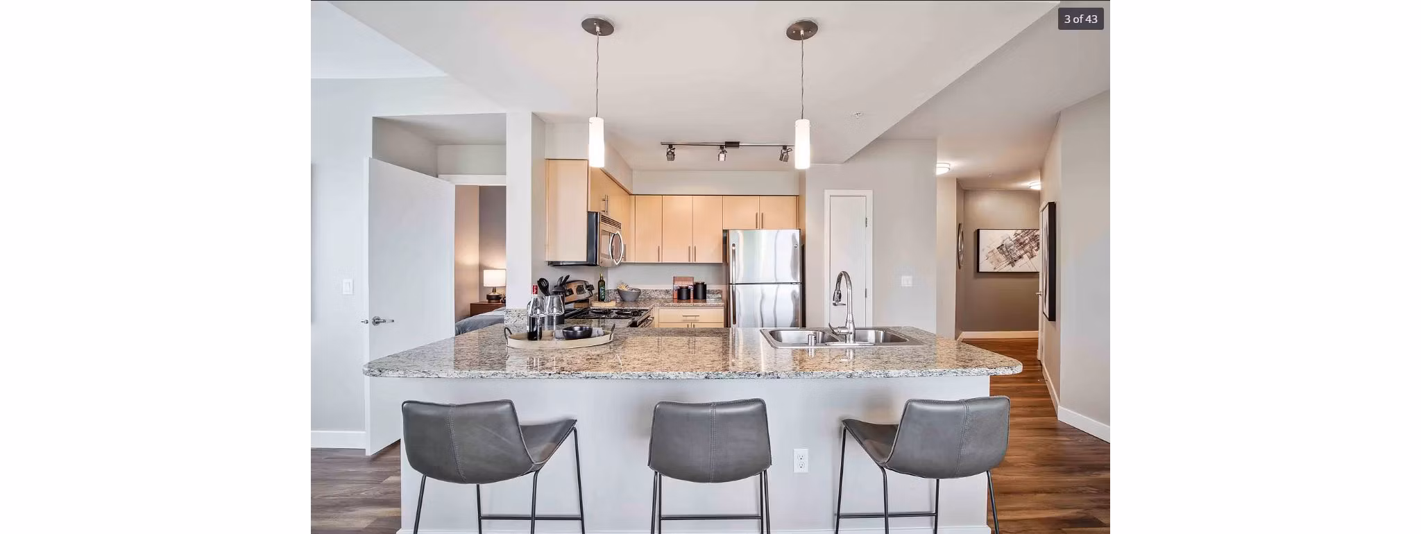 The Pacifica Apartments: Modern kitchen with stainless steel appliances and granite countertops in luxury community