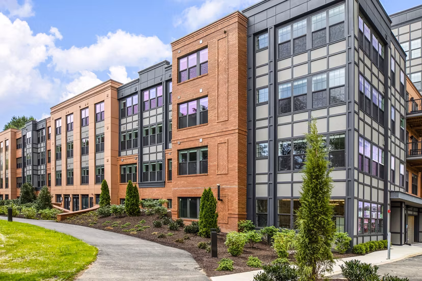 Delwyn Apartments: Contemporary luxury apartments surrounded by lush greenery in scenic Bellevue