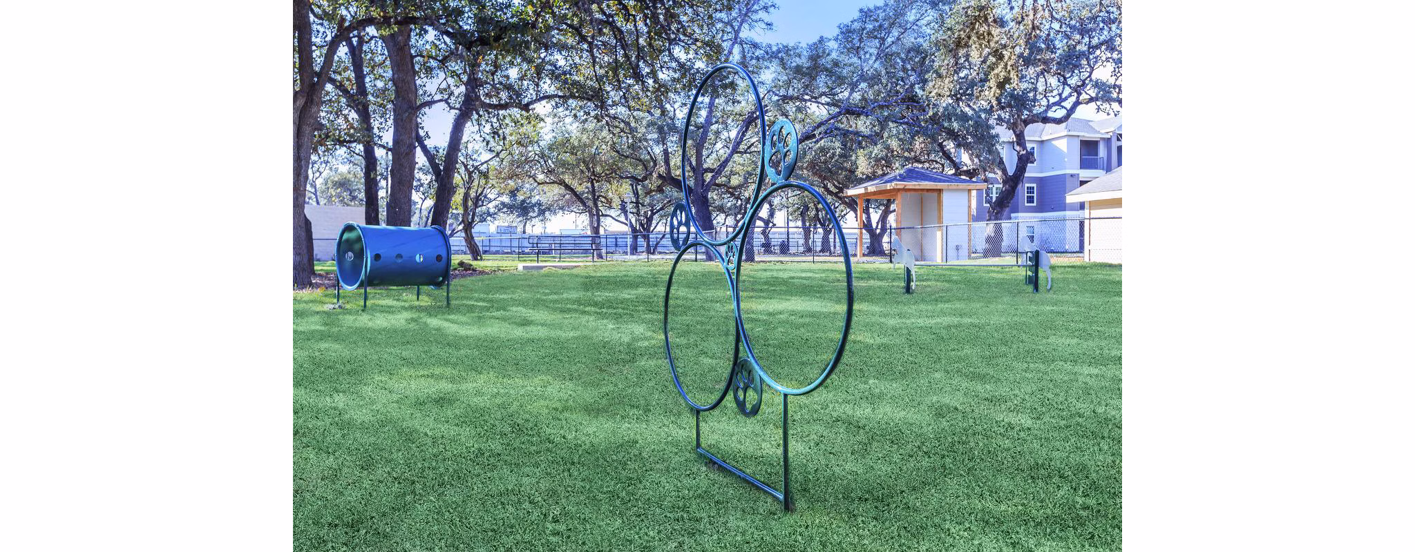 Dog park with agility equipment at Vantage at Boerne Apartments offering a pet-friendly community lifestyle