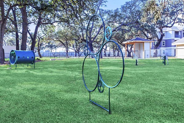 Dog park with agility equipment at Vantage at Boerne Apartments offering a pet-friendly community lifestyle