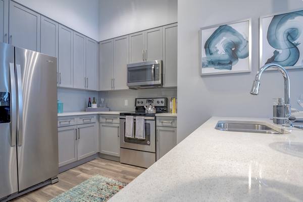 kitchen at Aston City Springs Apartments