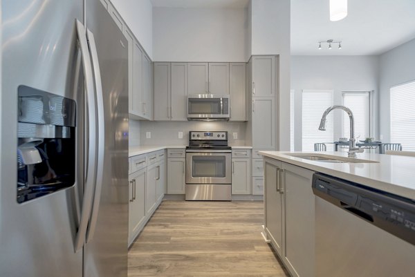 Kitchen with sleek modern design and stainless steel appliances at Aston City Springs Apartments