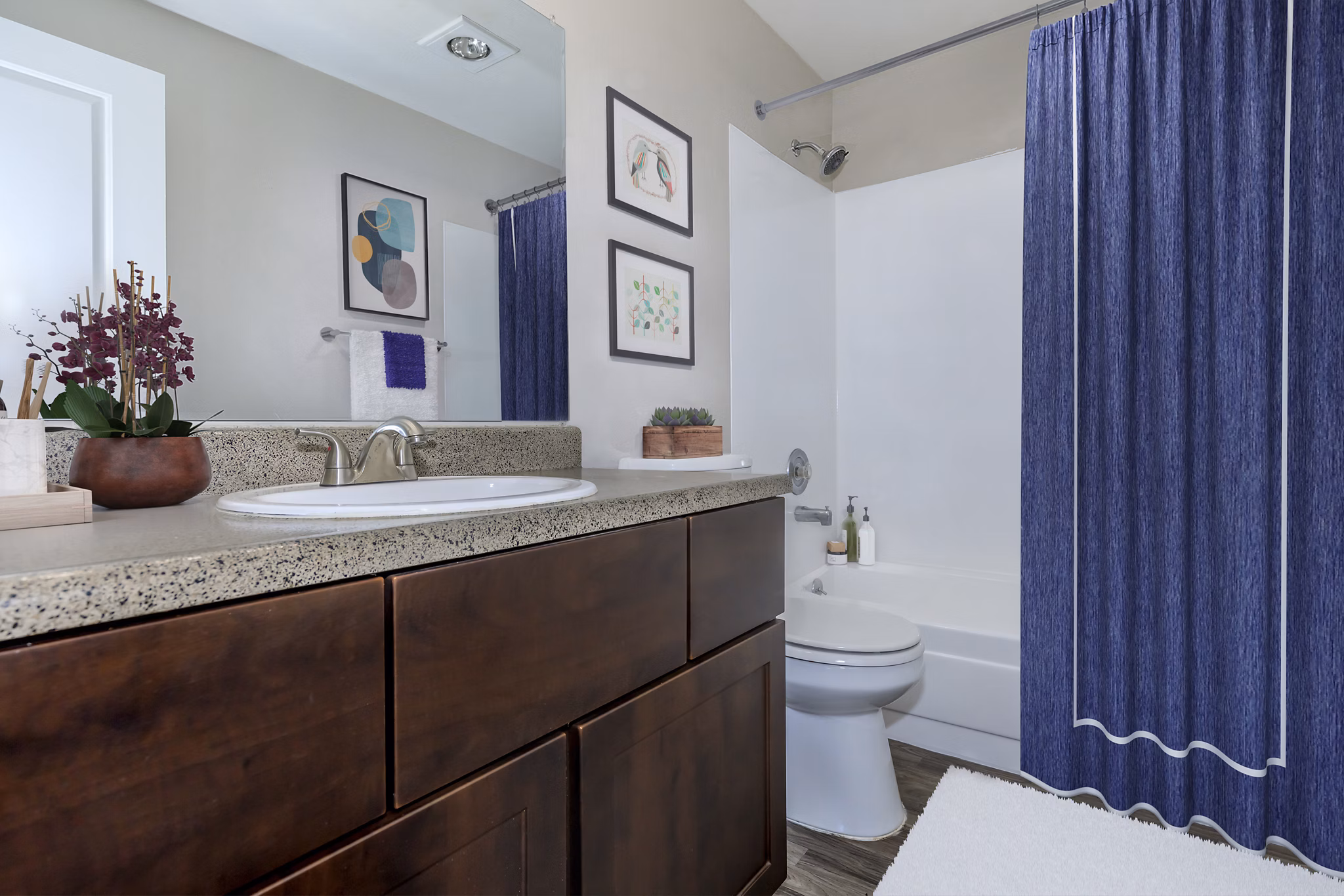 Modern bathroom featuring sleek fixtures at Alvista 240 Apartments