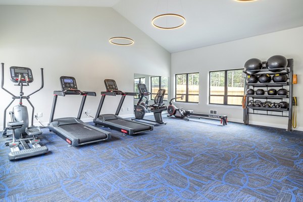 Well-equipped fitness center with modern machines at Alvista 240 Apartments
