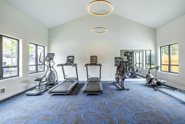 State-of-the-art fitness center with modern equipment at Alvista 240 Apartments