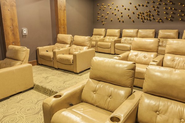theater at SkyStone Apartments