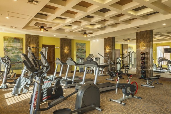 State-of-the-art fitness center with modern equipment at SkyStone Apartments