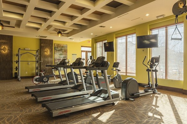 State-of-the-art fitness center equipped with treadmills and strength training areas at SkyStone Apartments