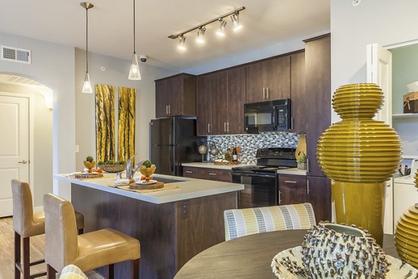 Modern kitchen with stainless steel appliances in SkyStone Apartments