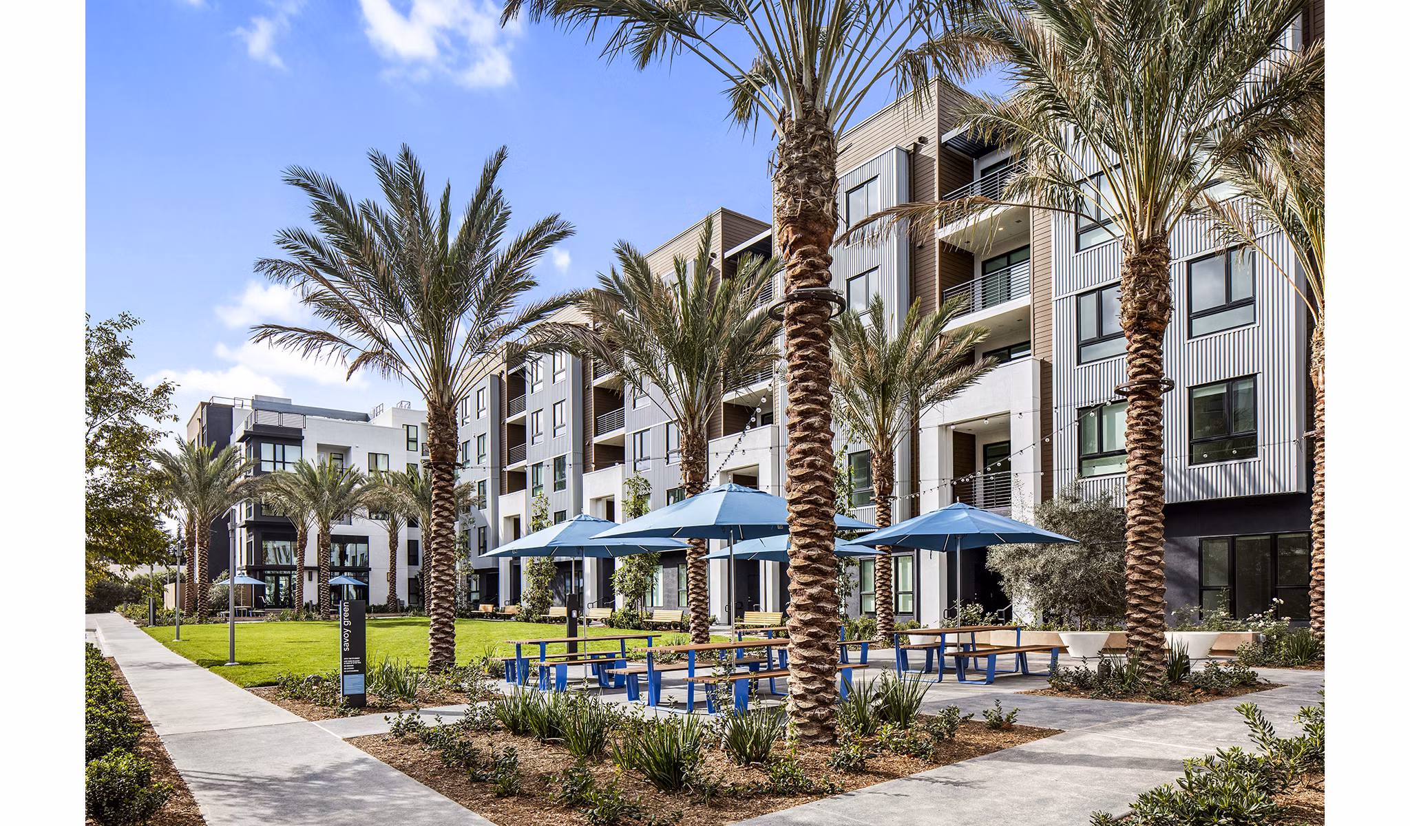 rendering for Savoy Apartments
