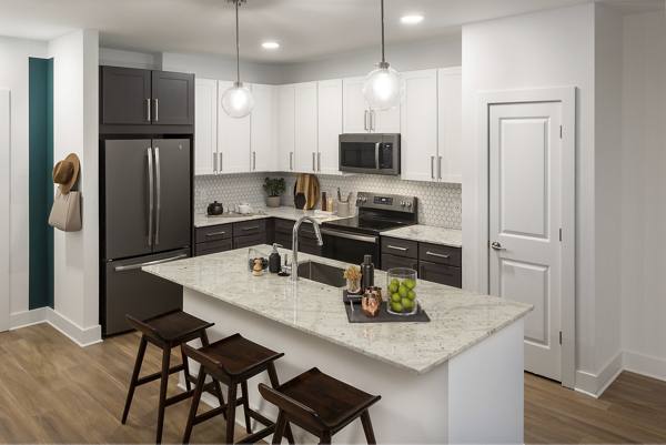 kitchen at Elan Madison Yards Apartments