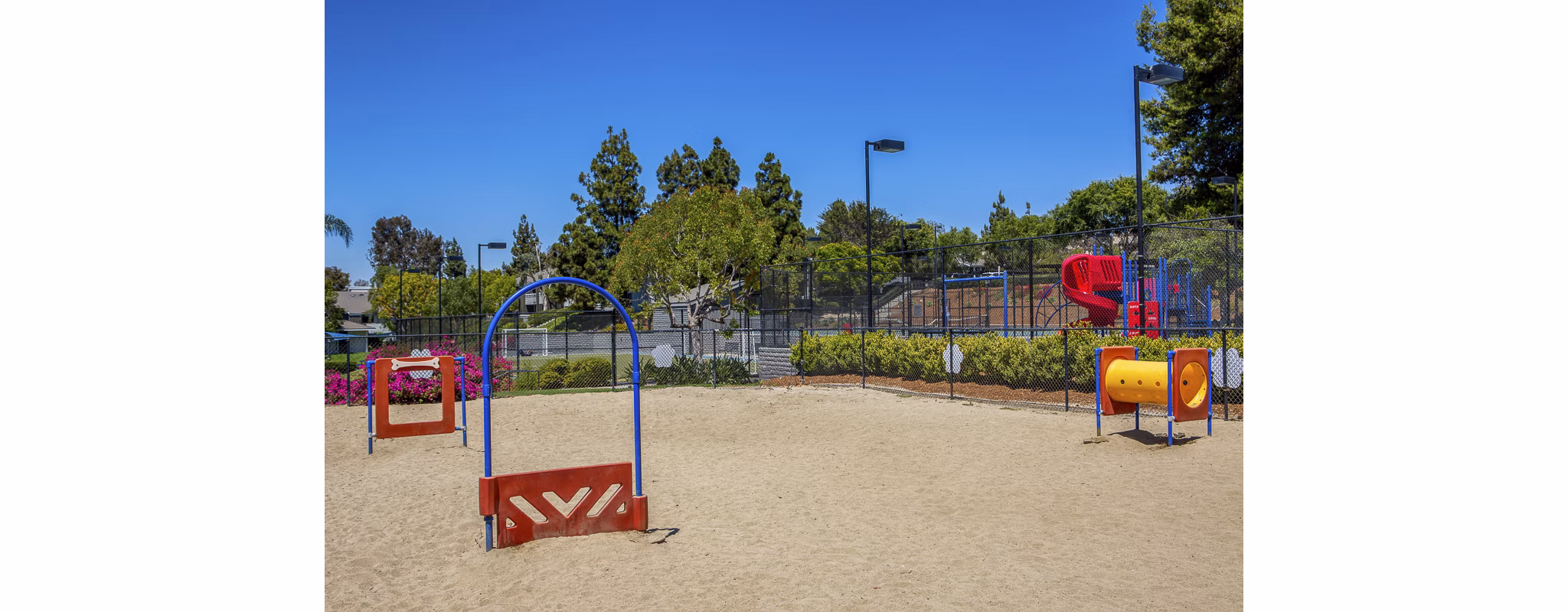 Dog park at Presidio at Rancho Del Oro Apartments featuring grassy play areas and agility equipment