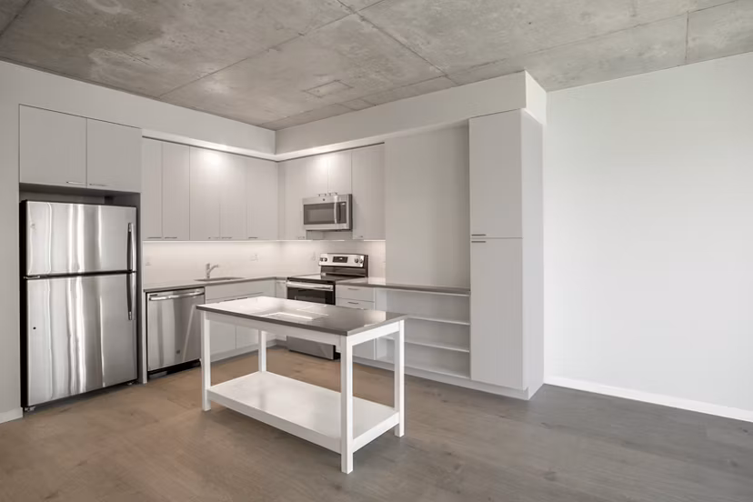 Modern kitchen with stainless steel appliances at The Chestnut Apartments