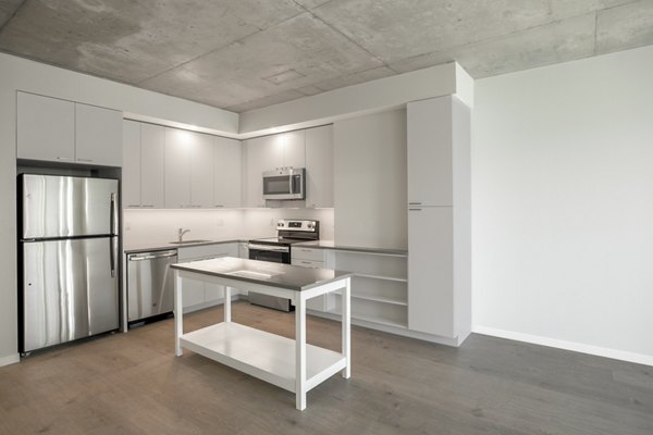 Modern kitchen with stainless steel appliances at The Chestnut Apartments