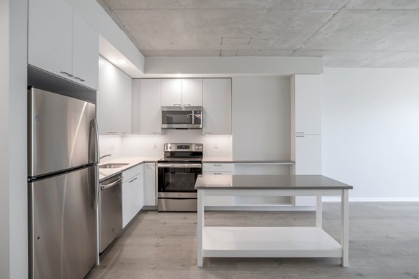 Modern kitchen with granite countertops and stainless steel appliances at The Chestnut Apartments