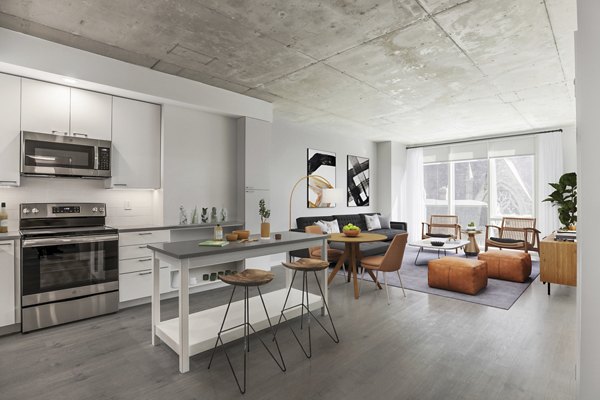 Modern kitchen with sleek countertops and stainless steel appliances at The Chestnut Apartments luxury living