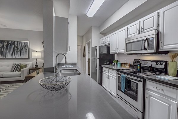 Modern kitchen featuring stainless steel appliances at Springs at Continental Ranch Apartments
