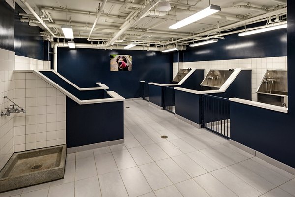 Pet washing station with multiple washing areas and tiled walls in luxury apartments