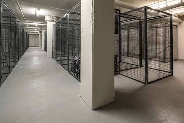 Storage area featuring wire mesh storage cages in luxury apartment community