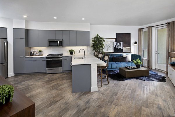 Modern kitchen with granite countertops and stainless steel appliances at Lynhaven Apartments, luxury living by Greystar