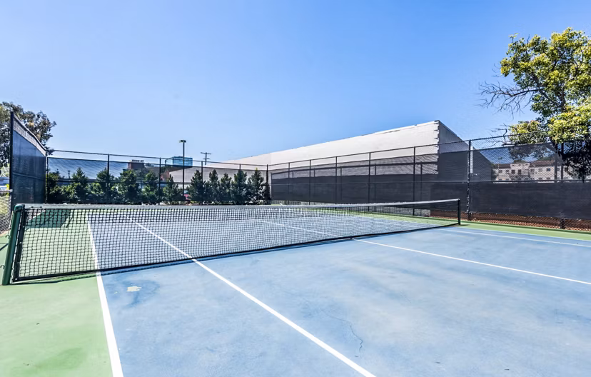 The Chadwick Apartments: Outdoor tennis court for leisure and fitness activities
