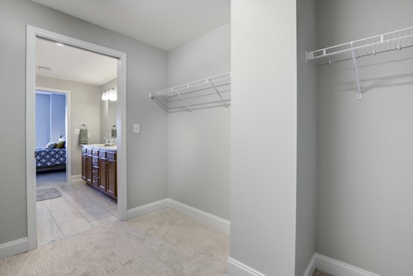 Spacious walk-in closet with ample storage in Overlook at River Place Apartments