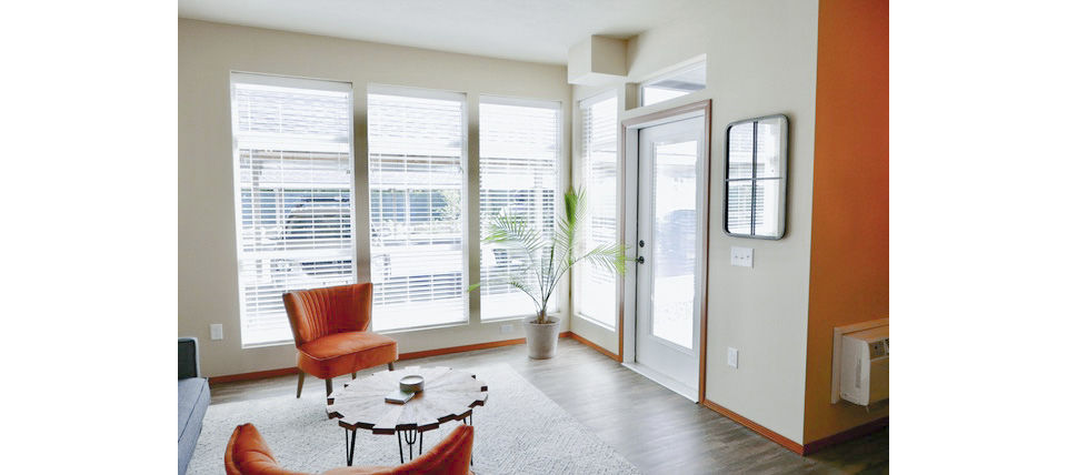 Living room showcasing elegant decor and ample natural light in Diamond Rock Rentals