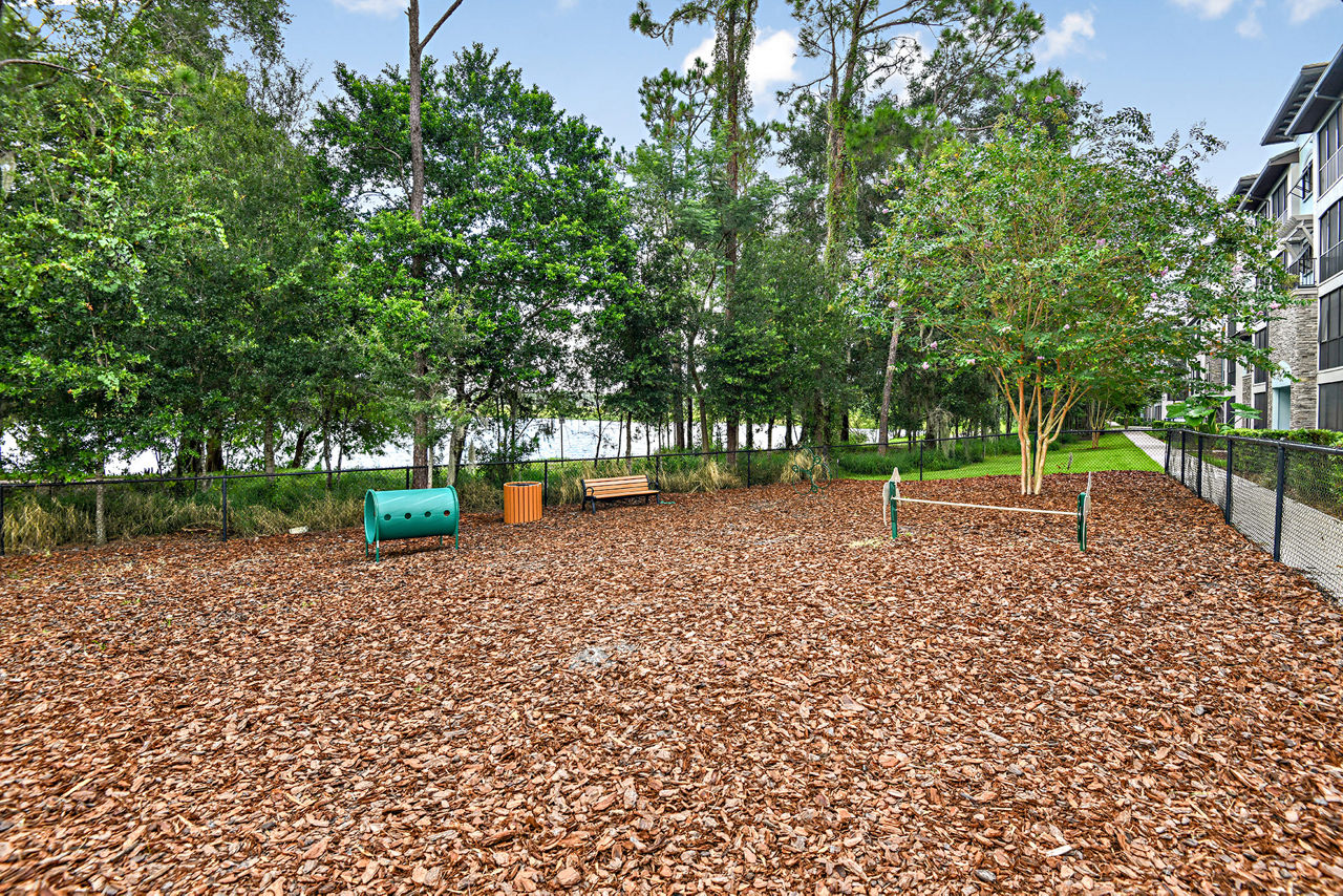 Dog park at Zen