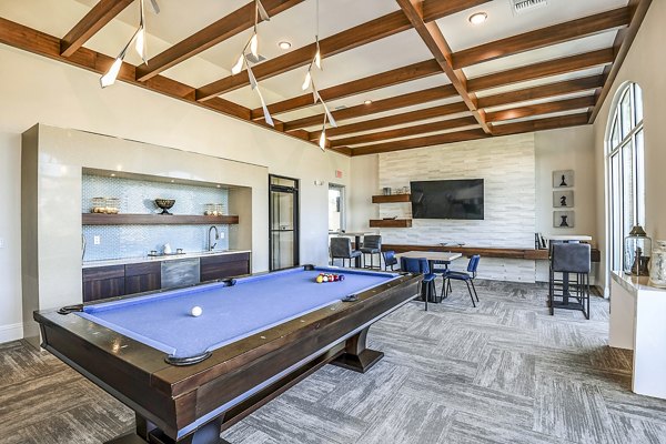 Clubhouse game room featuring a pool table and lounge seating at Venetian Isle Apartments
