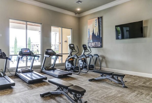 Modern fitness center with state-of-the-art equipment at Venetian Isle Apartments, offering premium workout facilities for residents