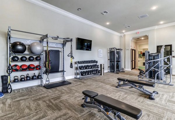 State-of-the-art fitness center with modern equipment at Venetian Isle Apartments