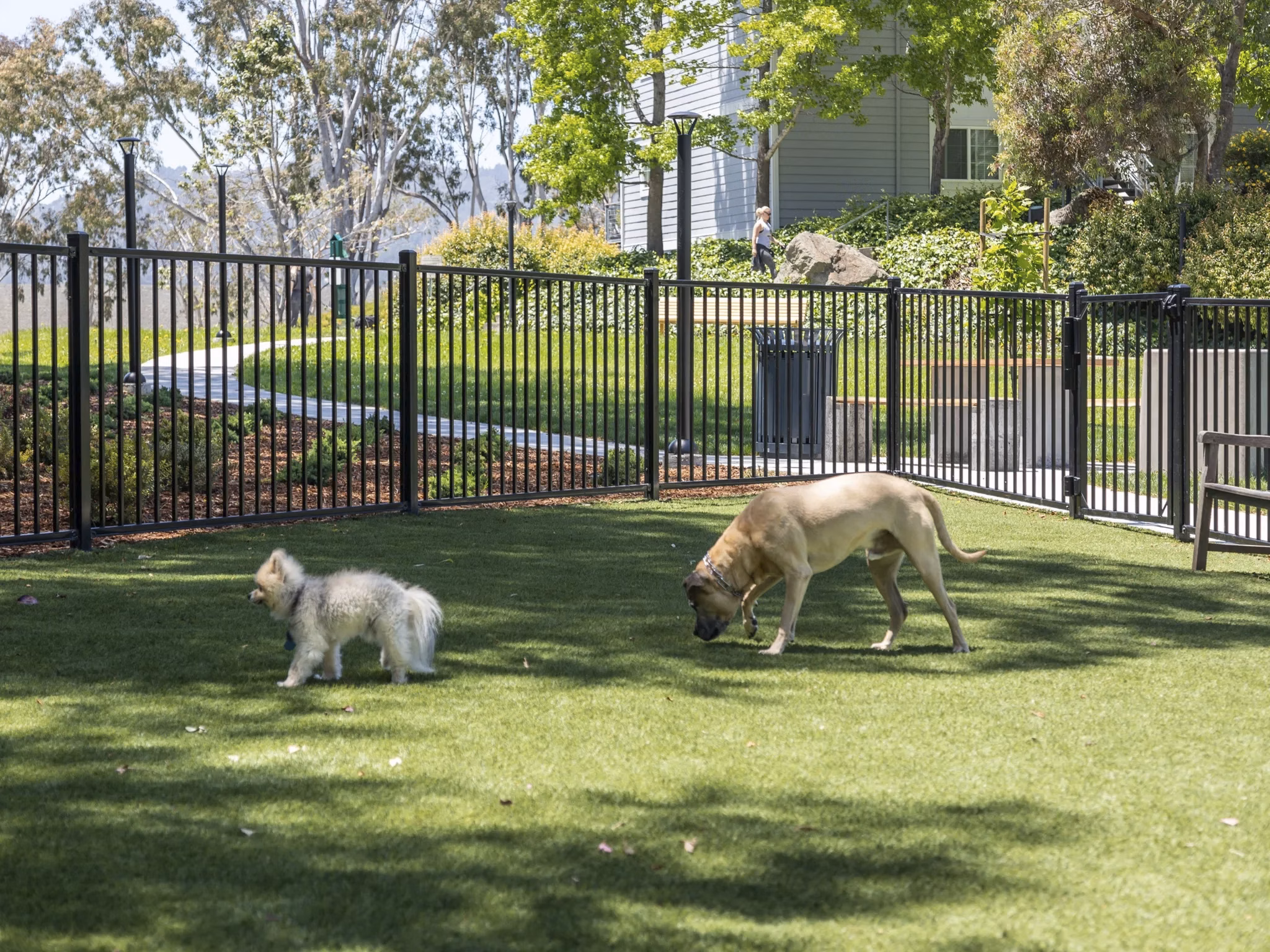 dog park at Serenity at Larkspur Apartments