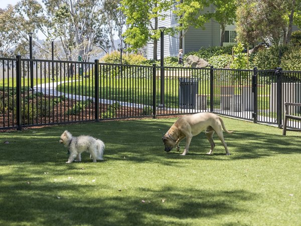 dog park at Serenity at Larkspur Apartments