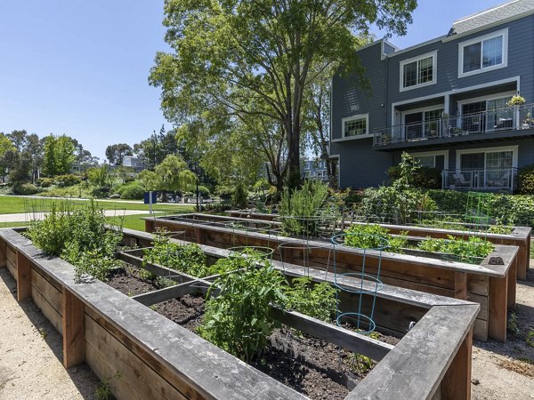 community garden area at Serenity at Larkspur Apartments