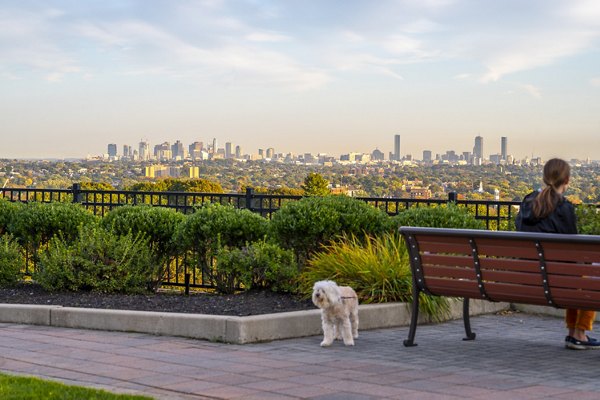 view at Arlington 360 Apartments