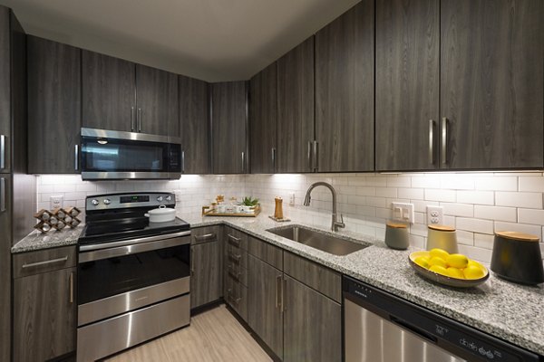 Modern kitchen with stainless steel appliances at Domain Morgans Landing Apartments