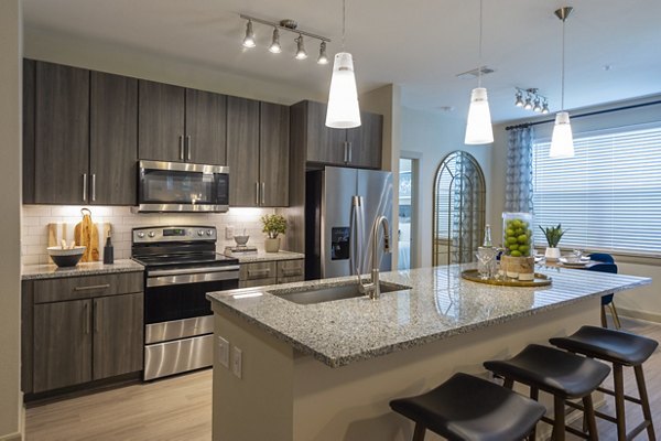 Modern kitchen featuring sleek cabinetry and stainless steel appliances at Domain Morgans Landing Apartments