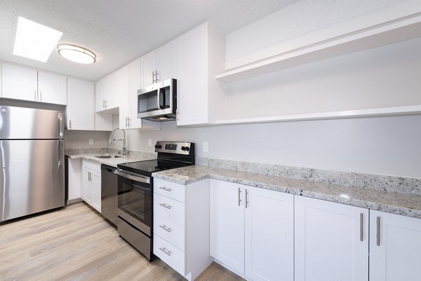 Modern kitchen with granite countertops and stainless steel appliances at Oak & Iron luxury apartments