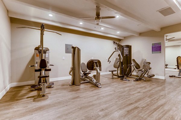 fitness center at The Luxe Apartments