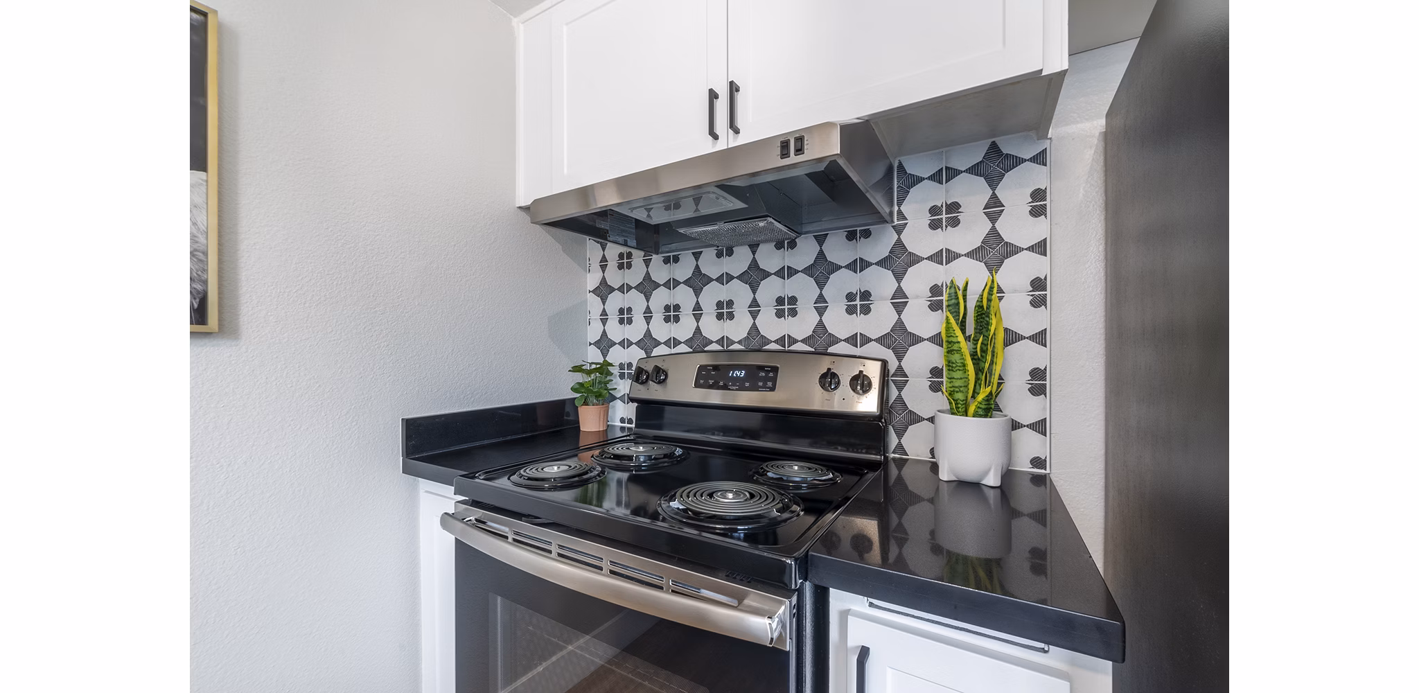 kitchen at The Luxe Apartments