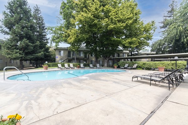 pool at The Luxe Apartments