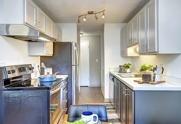 Modern kitchen with stainless steel appliances in Miro Apartments