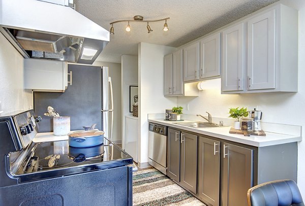 Modern kitchen with sleek countertops at Miro Apartments