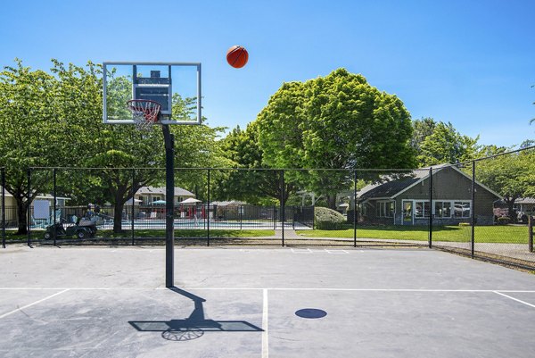 Indoor basketball court with modern facilities at Miro Apartments