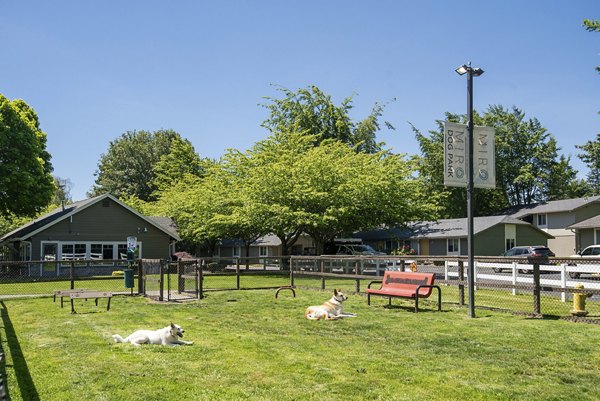 Dog park with agility equipment at Miro Apartments, luxury community feature for pet-friendly living