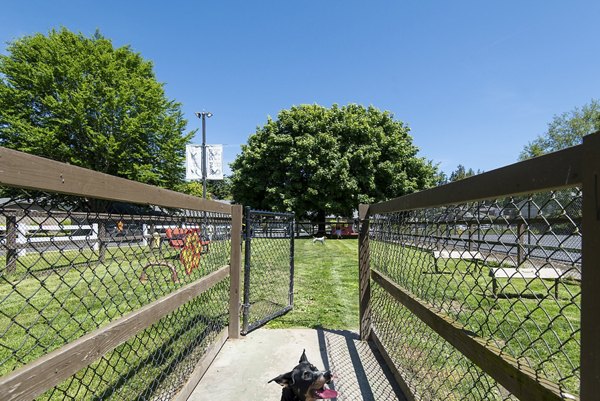 Dog park featuring agility equipment at Miro Apartments