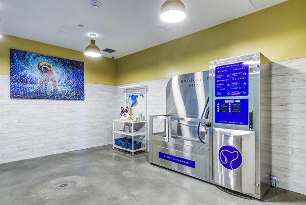 Dog wash station at Ryder Apartments: Convenient facility for pet owners in Greystar's luxury apartment community