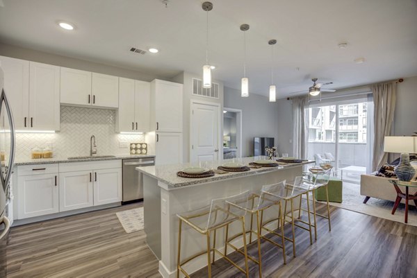 Modern kitchen with stainless steel appliances at Alder Apartments, luxury living by Greystar