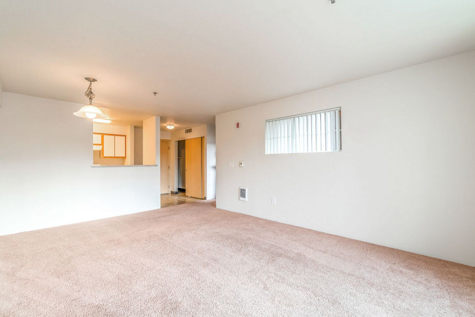 Modern living room with elegant decor and natural light at Willamette Gardens Apartments, offering luxury living in a serene setting