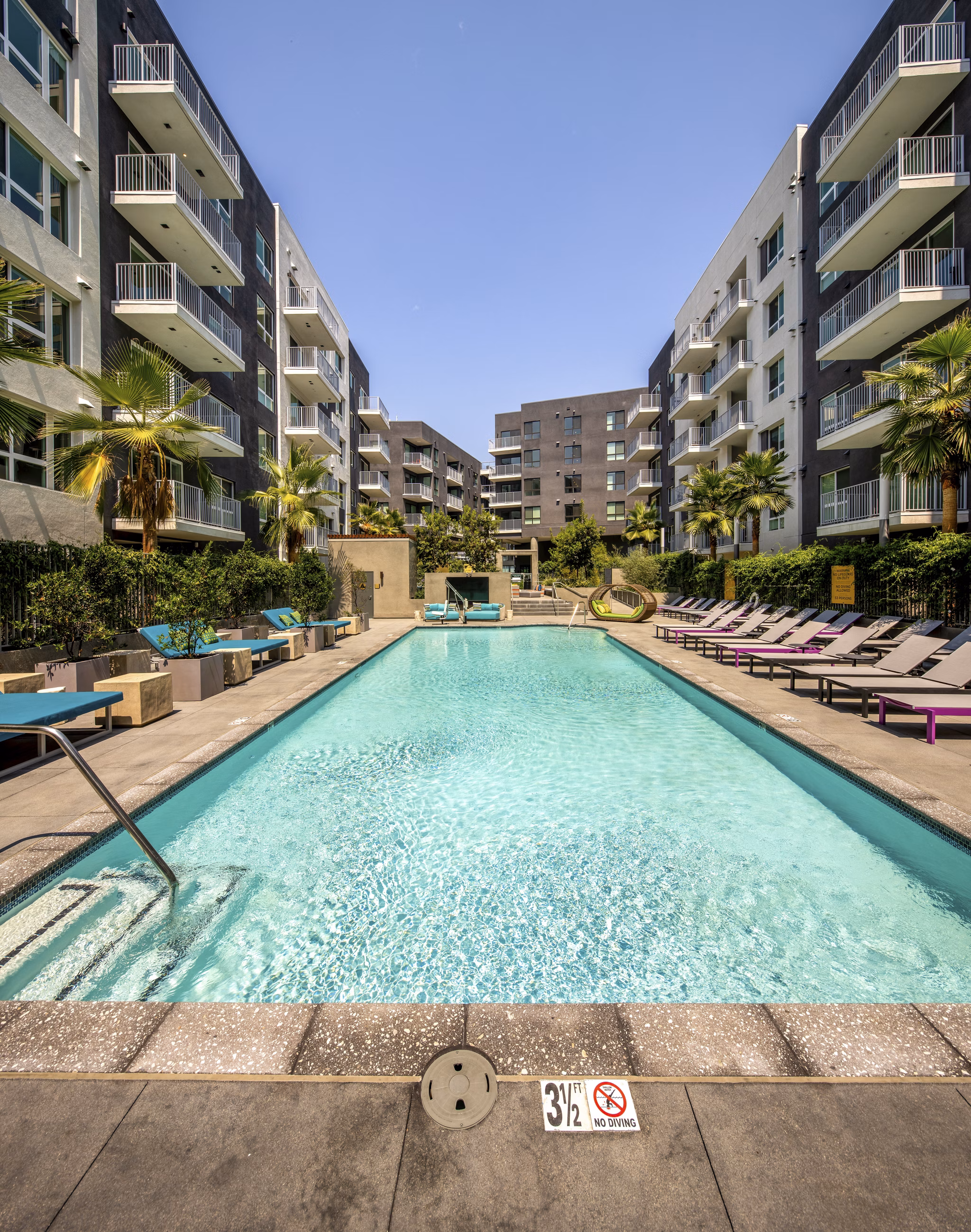 Rooftop pool with city views at Rise Hollywood Apartments, luxurious living with premier amenities in Los Angeles